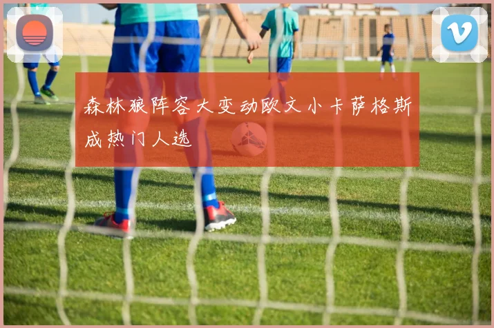 森林狼阵容大变动欧文小卡萨格斯成热门人选